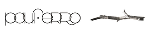Logo Pauferro